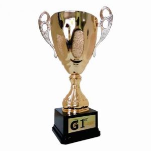 TROFEO COPA DORADA MEDIANA  MEDIDA 35.5 X 22 CM DE PLASTICO CON BASE DE PLASTICO NEGRO CON PLACA   DE ALUMINIO A COLOR